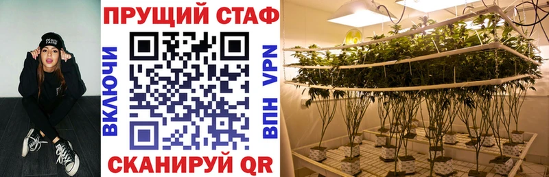 Купить закладку Бошки Шишки МЕФ Кокаин Галлюциногенные грибы Гашиш А ПВП Пугачёв