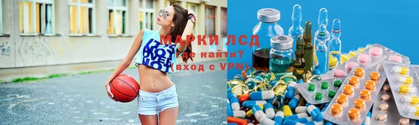 индика Богородицк