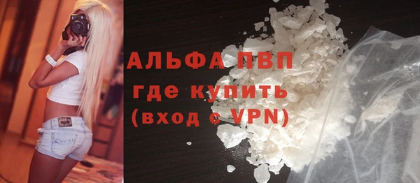 индика Богородицк