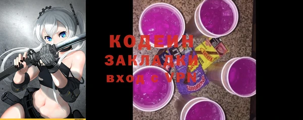 спиды Бородино