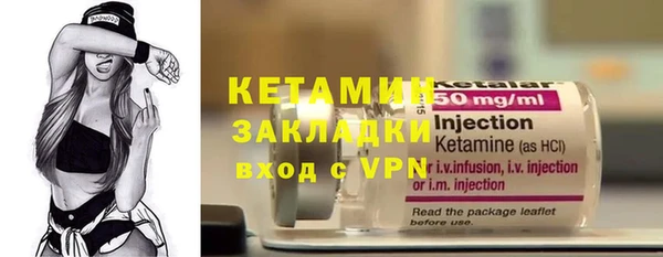 индика Богородицк