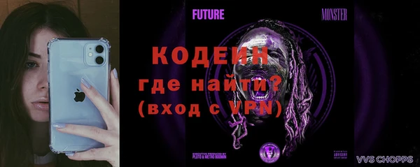 индика Богородицк