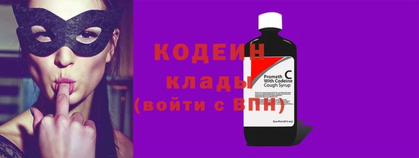 индика Богородицк