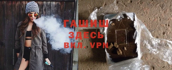индика Богородицк