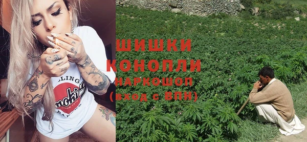 индика Богородицк