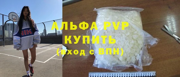 индика Богородицк