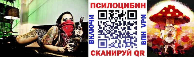 Купить закладки  Пугачёв  Галлюциногенные грибы прущие грибы 